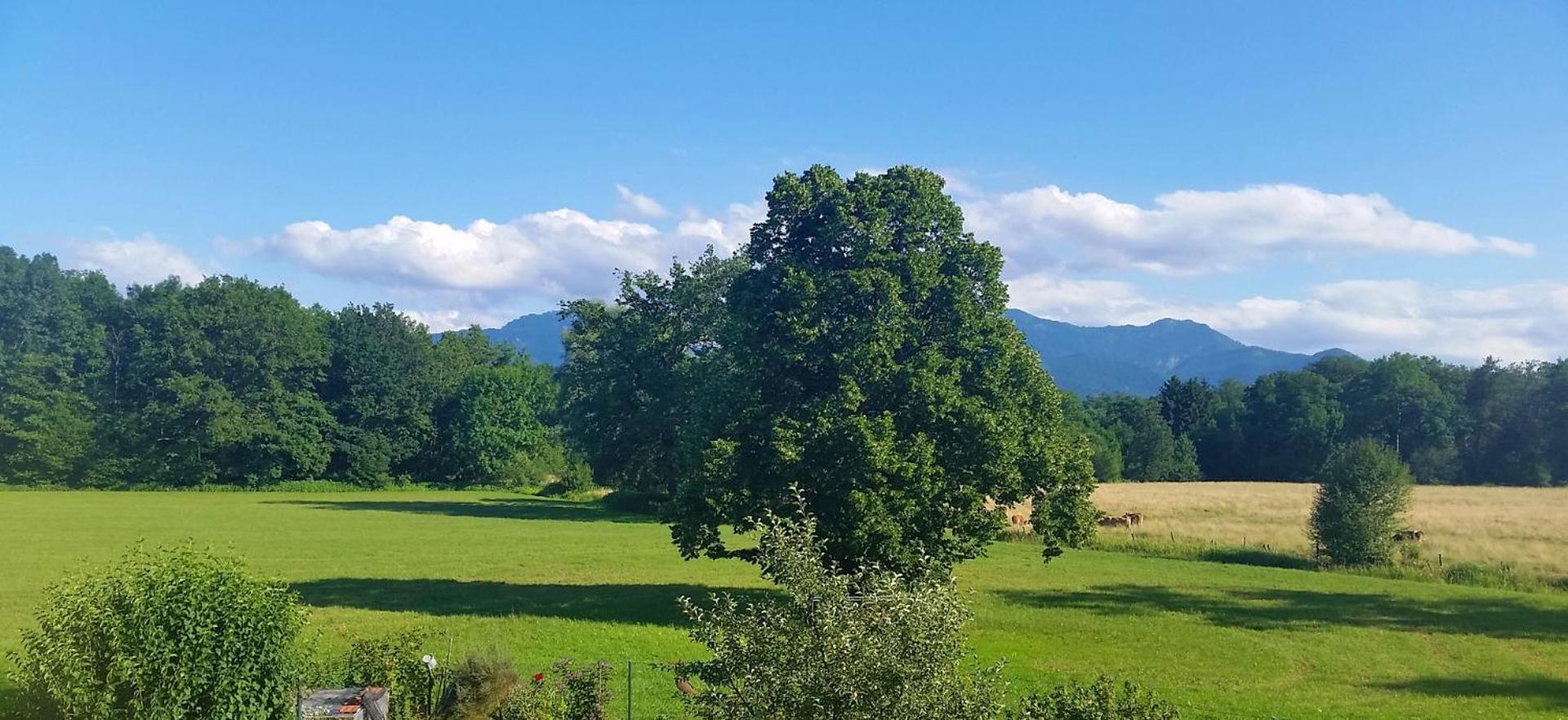 5 Sterne Fewo Mit Garten Und Bergblick In Chiemsee-Naehe Ubersee Exterior photo